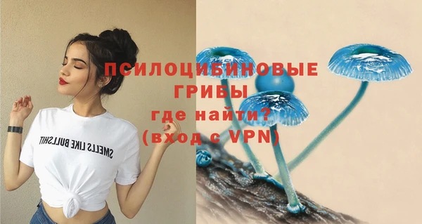 каннабис Каменногорск