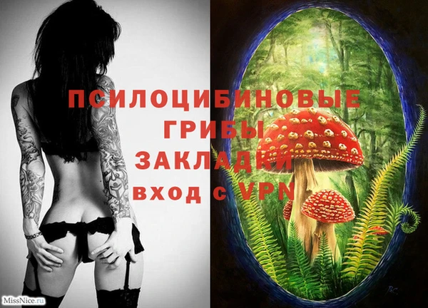 каннабис Каменка